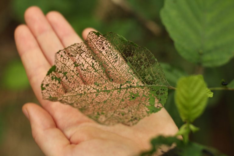 IMG_1002-ConvertImage