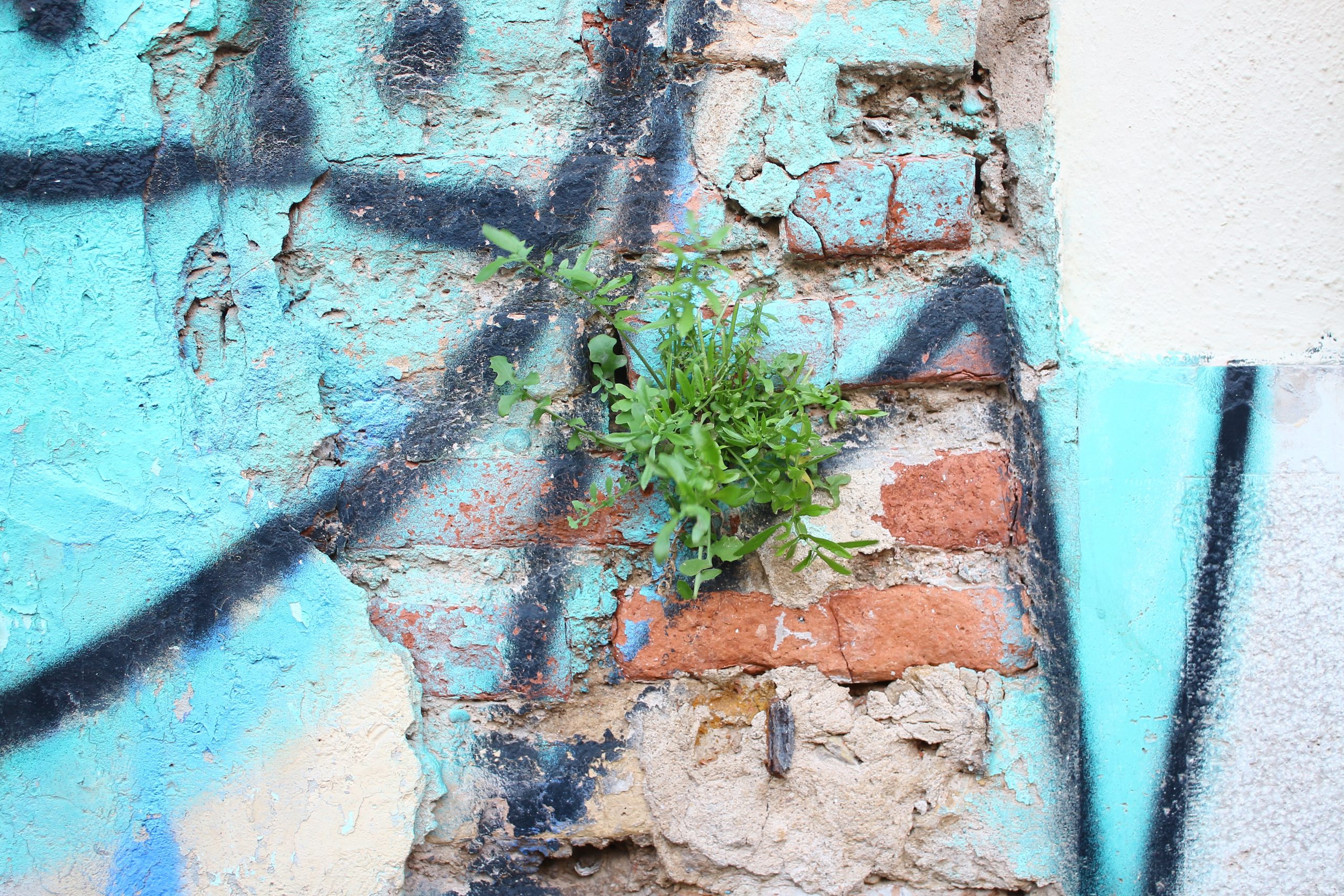 French Municipal Elections. 2020. A green Wave and a citizen slap in the face.